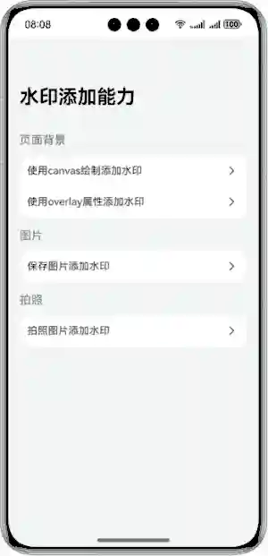 水印动画演示